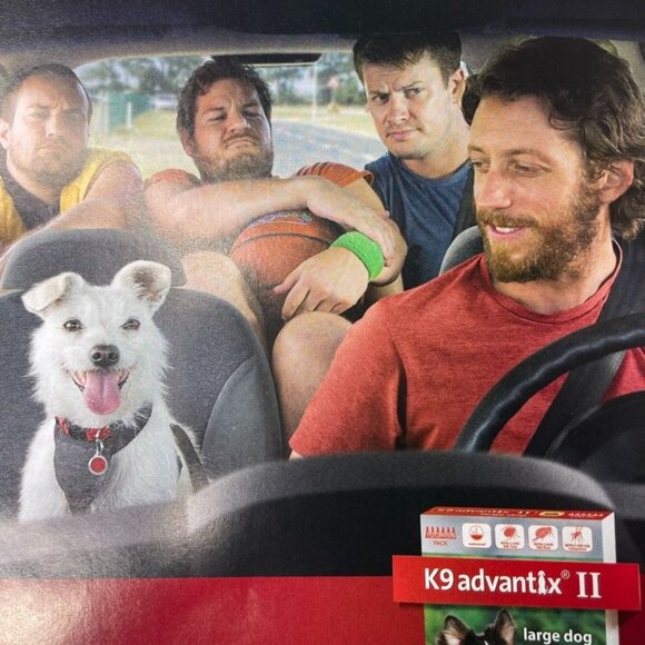 2015 Advantix II Dog Flea Tick Treatment Ad Print Full Page Men u Car White Dog - Picture 2 of 6